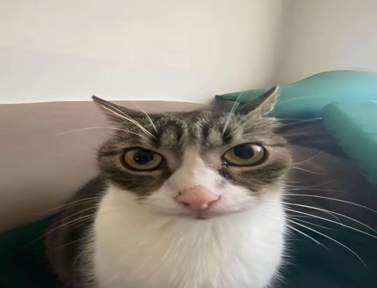 20fpsguy's Cover Photo