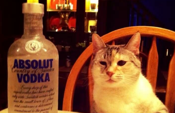 DonutxLord's Cover Photo