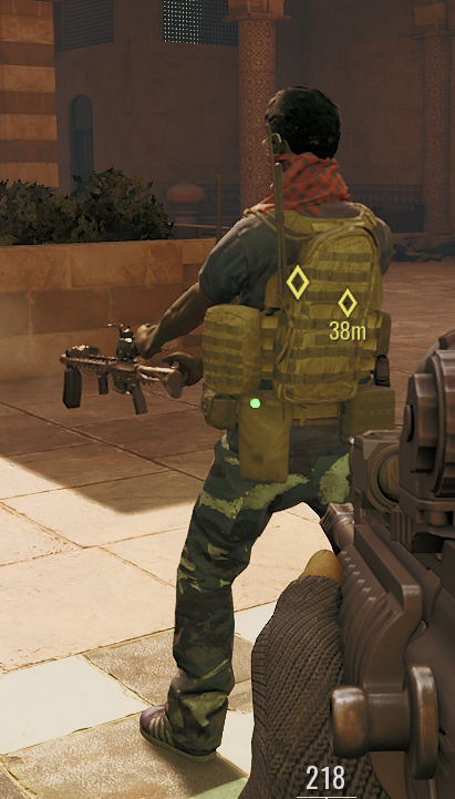 Steiner's Cover Photo