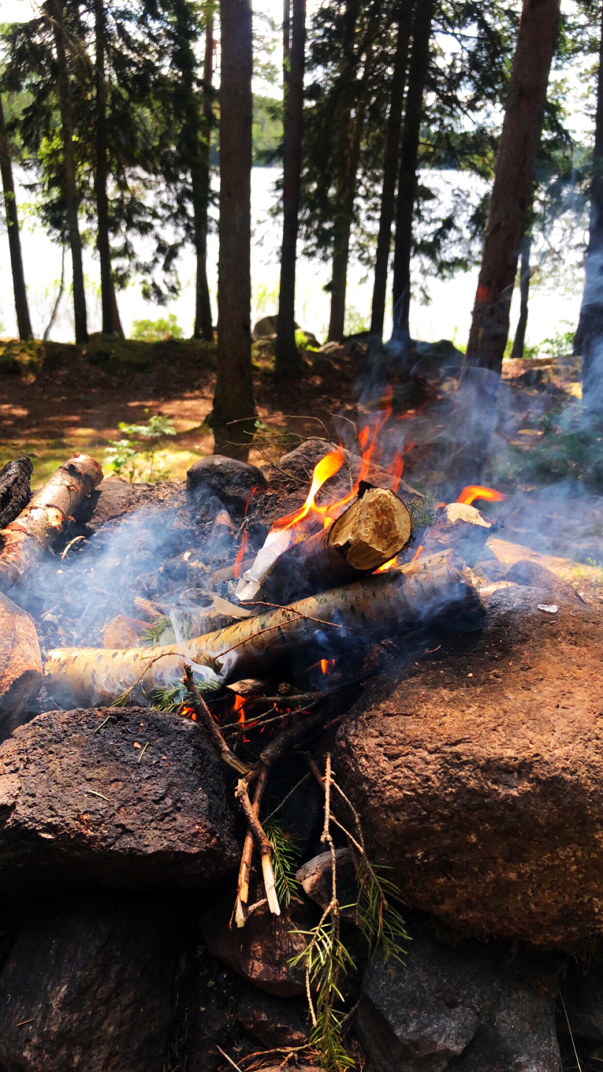 4-N7THRAX's Cover Photo