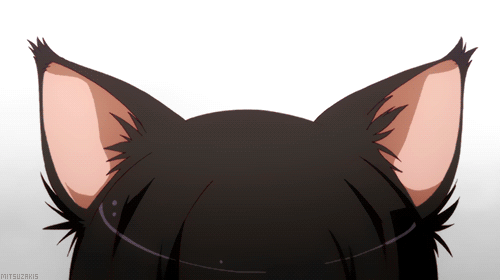 AshNDashN's Cover Photo