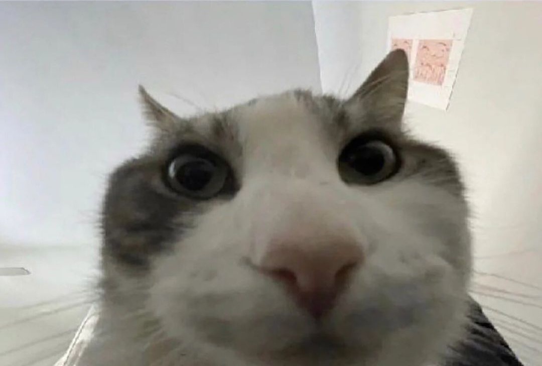 20fpsguy's Cover Photo