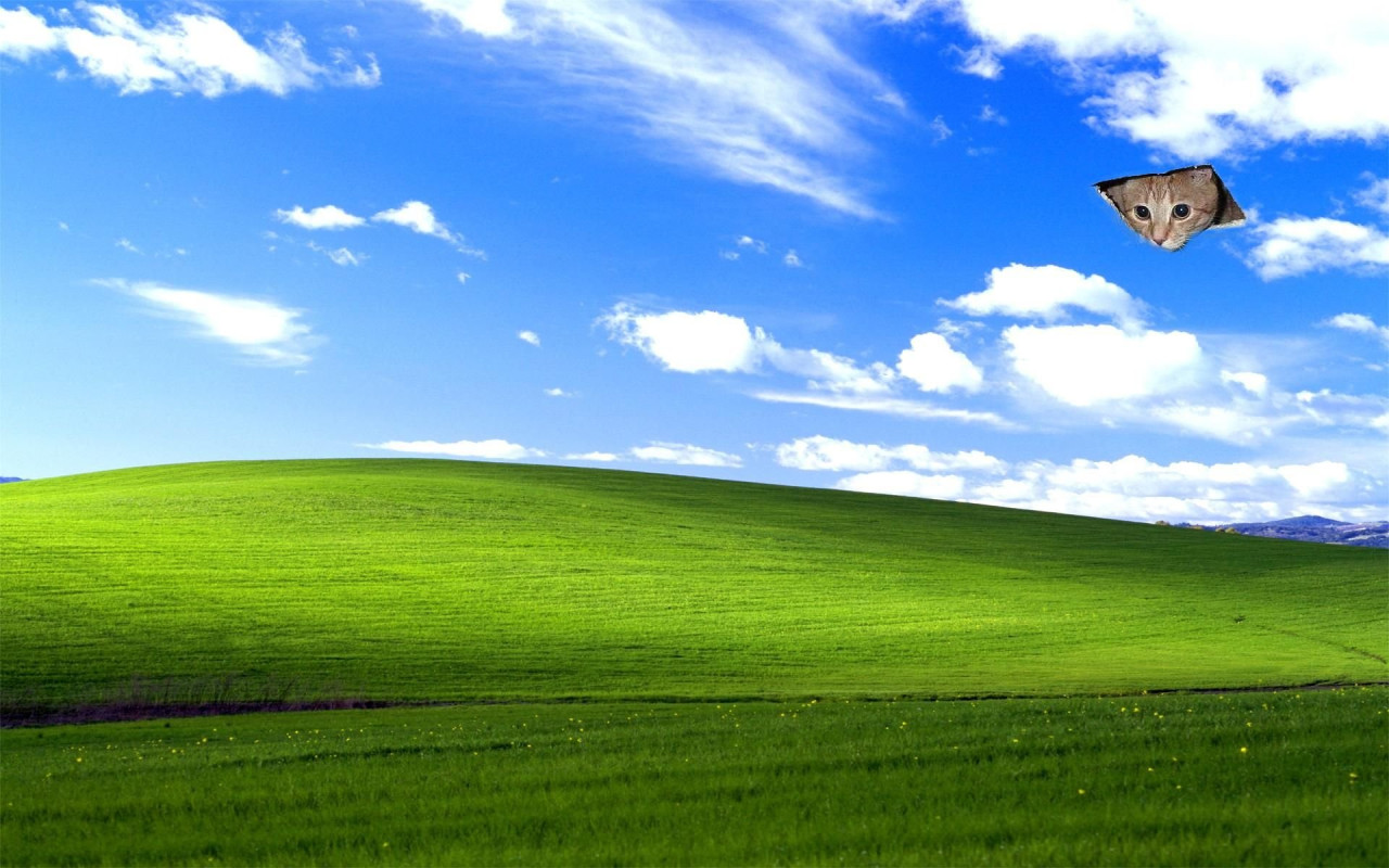 nastya's Cover Photo