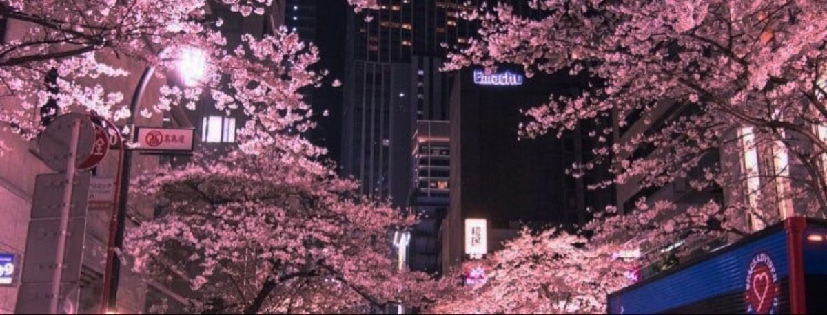 nessu's Cover Photo