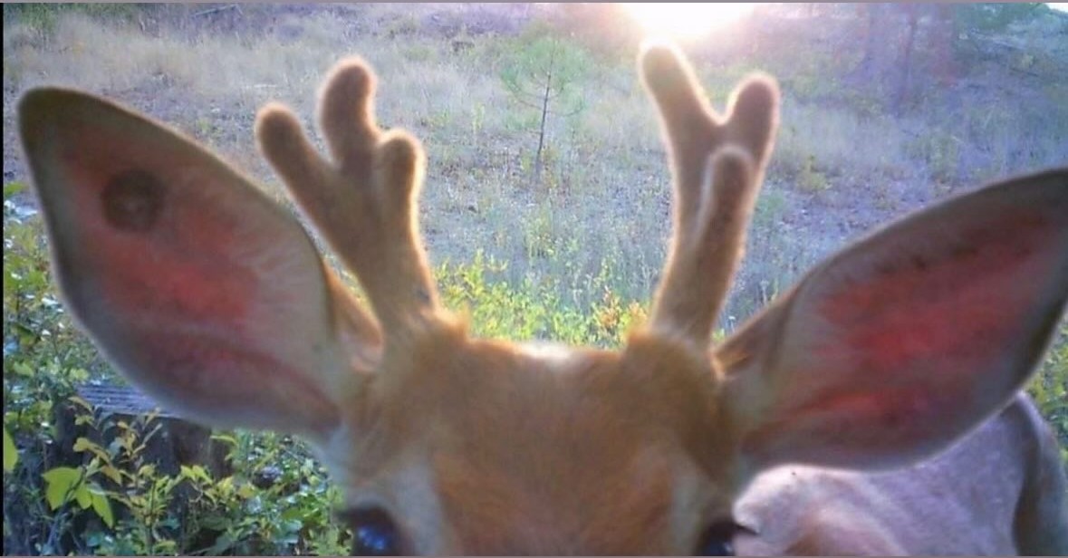 da3dalus's Cover Photo