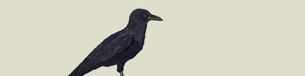 kit's Cover Photo