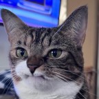 Janky's Visual Assist