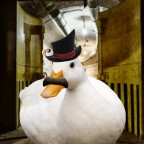 Trader DUCC