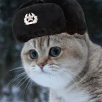 Scav Cat Trader Mod