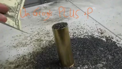 DaGrogsPlusP