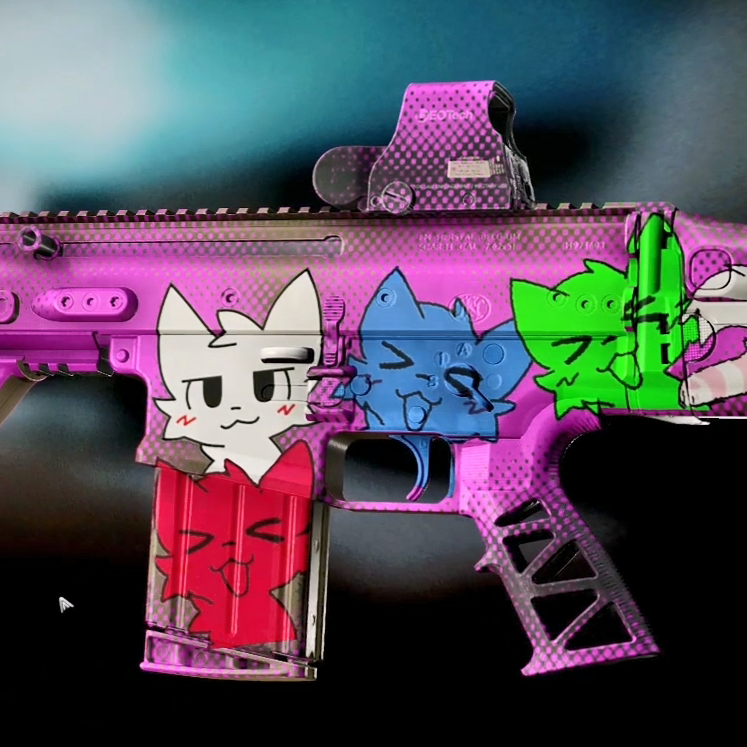 Weapon Camo And Stickers