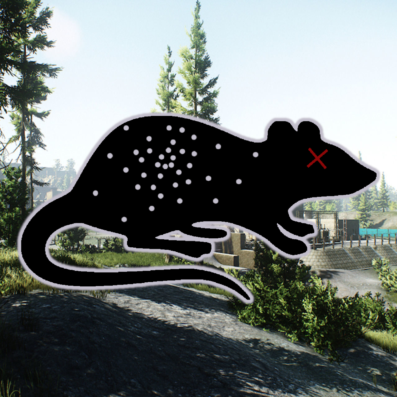 Ratshot of Usual Size