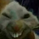 Shared Weapon Builds