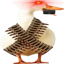 DUCC's Profile Picture