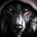 Dildz's Profile Picture