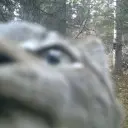 Kzar