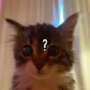 Naireem's Profile Picture