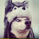 Metalwise4u's Profile Picture