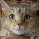 Speenks's Profile Picture