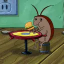 Roach