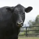 takenmake's Profile Picture