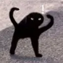 CuriousVoidling's Profile Picture