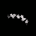 goatonabicycle's Profile Picture