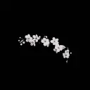 goatonabicycle's Profile Picture
