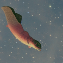 citharus's Profile Picture