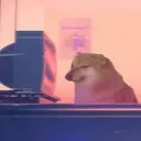 XeonWolf