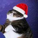 ToastyNoodle's Profile Picture