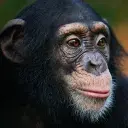 int16's Profile Picture