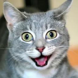 Geoffrey