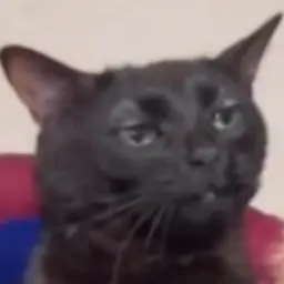 zicoman