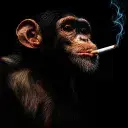Daemris's Profile Picture