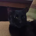 Mizzy's Profile Picture