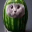 sigmasigma691212's Profile Picture