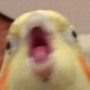 VioletAmbush's Profile Picture