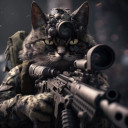 Wildtomcat's Profile Picture