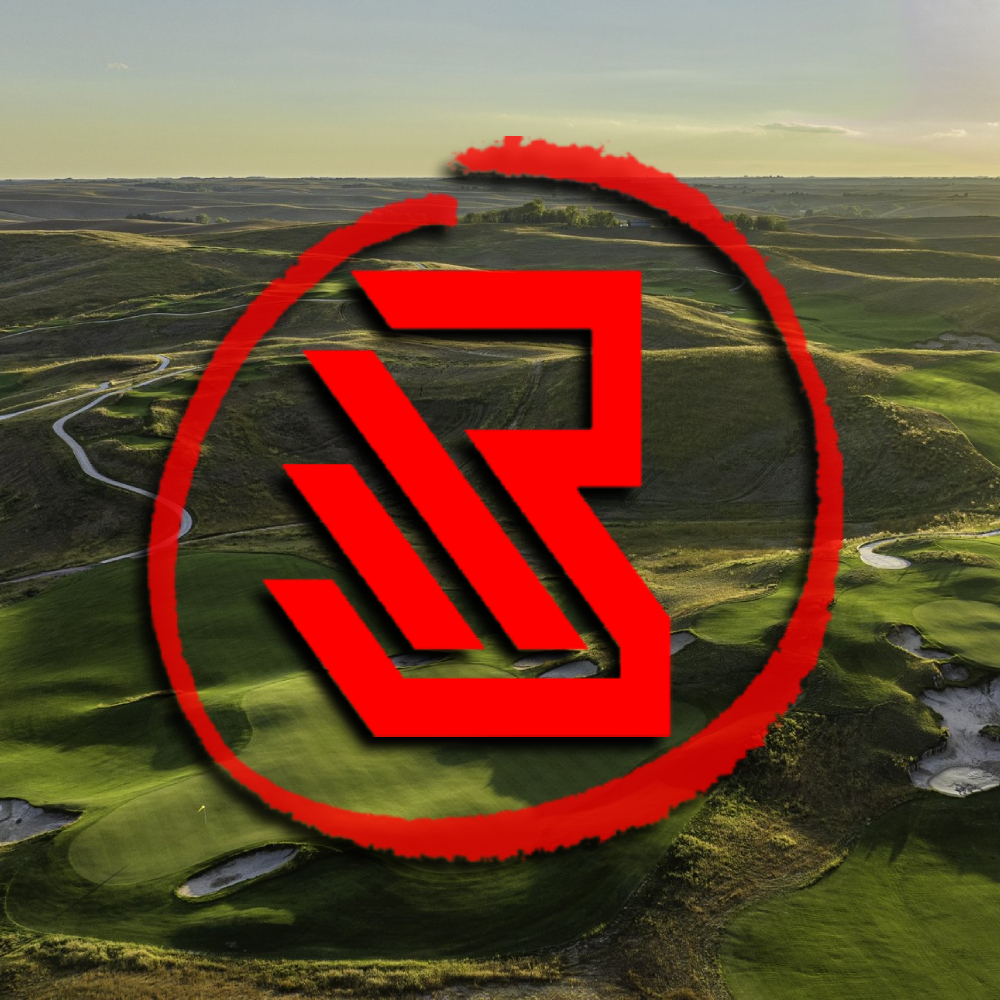 Boosty's Profile Picture