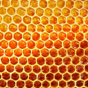 Honeycomb