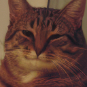 Katrin0522's Profile Picture