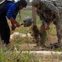 Mr.Proper in the shrub