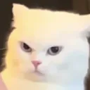 trippyone's Profile Picture