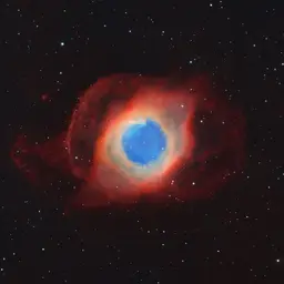 Xenyx's Profile Picture
