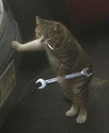 s8ga's Profile Picture